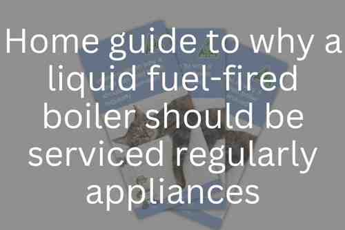 Image 5 Compressed (6)